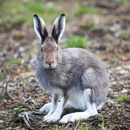 North Cape Accommodation, Norway Kemp Repvåg